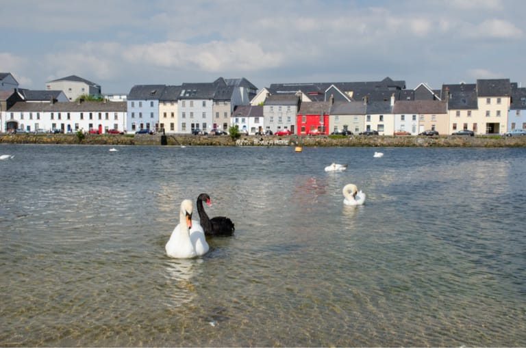 Galway Cultural Institute kampüs fotoğrafı