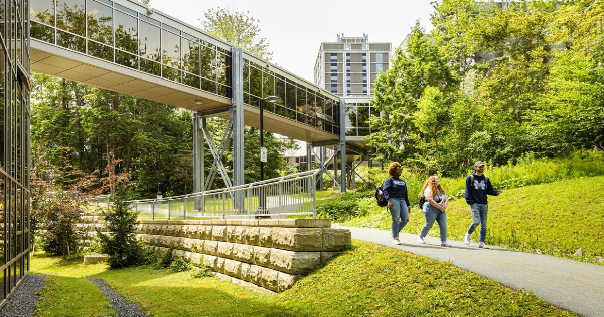 Mount Saint Vincent University kampüs fotoğrafı