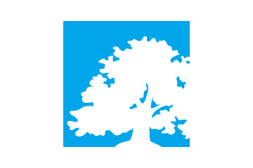 IBS- International Business School logosu
