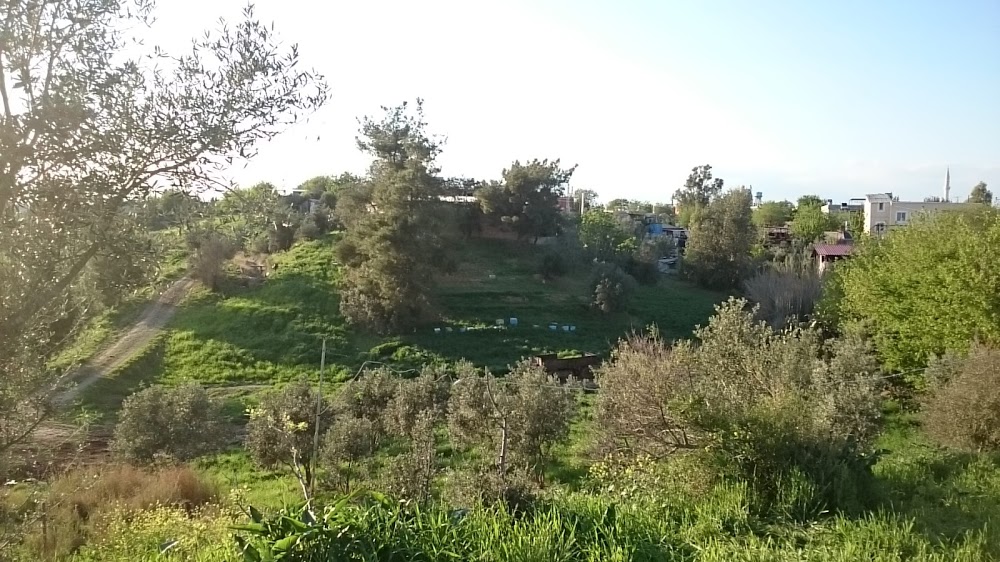 Ceyhan Başören İlkokulu Fotoğrafları 2