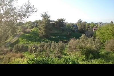 Ceyhan Başören İlkokulu fotoğraf 2