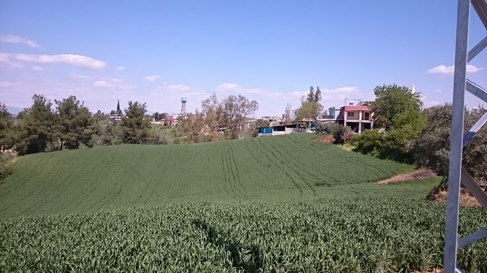 Ceyhan Başören İlkokulu Fotoğrafları 4