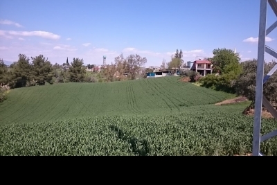 Ceyhan Başören İlkokulu fotoğraf 4