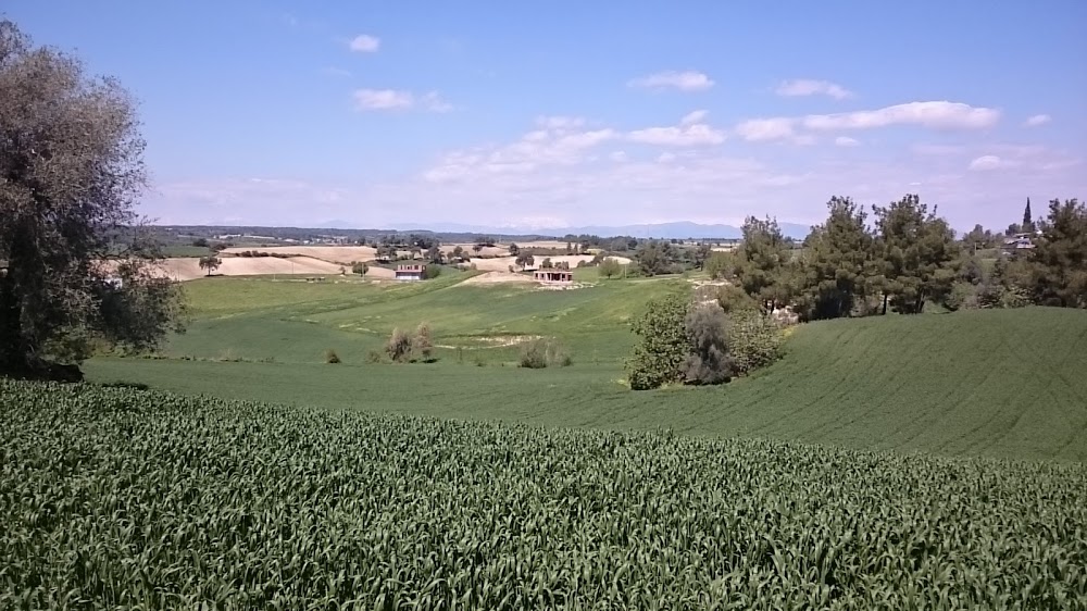 Ceyhan Başören İlkokulu Fotoğrafları 5