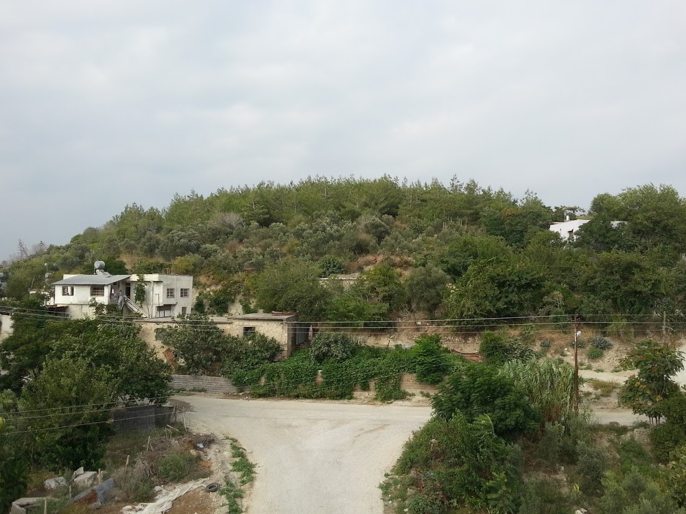 Doruk Çok Programlı Anadolu Lisesi Fotoğrafları 1