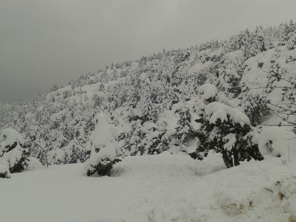 Abbas-sıdıka Çalık Anadolu Lisesi Fotoğrafları 4