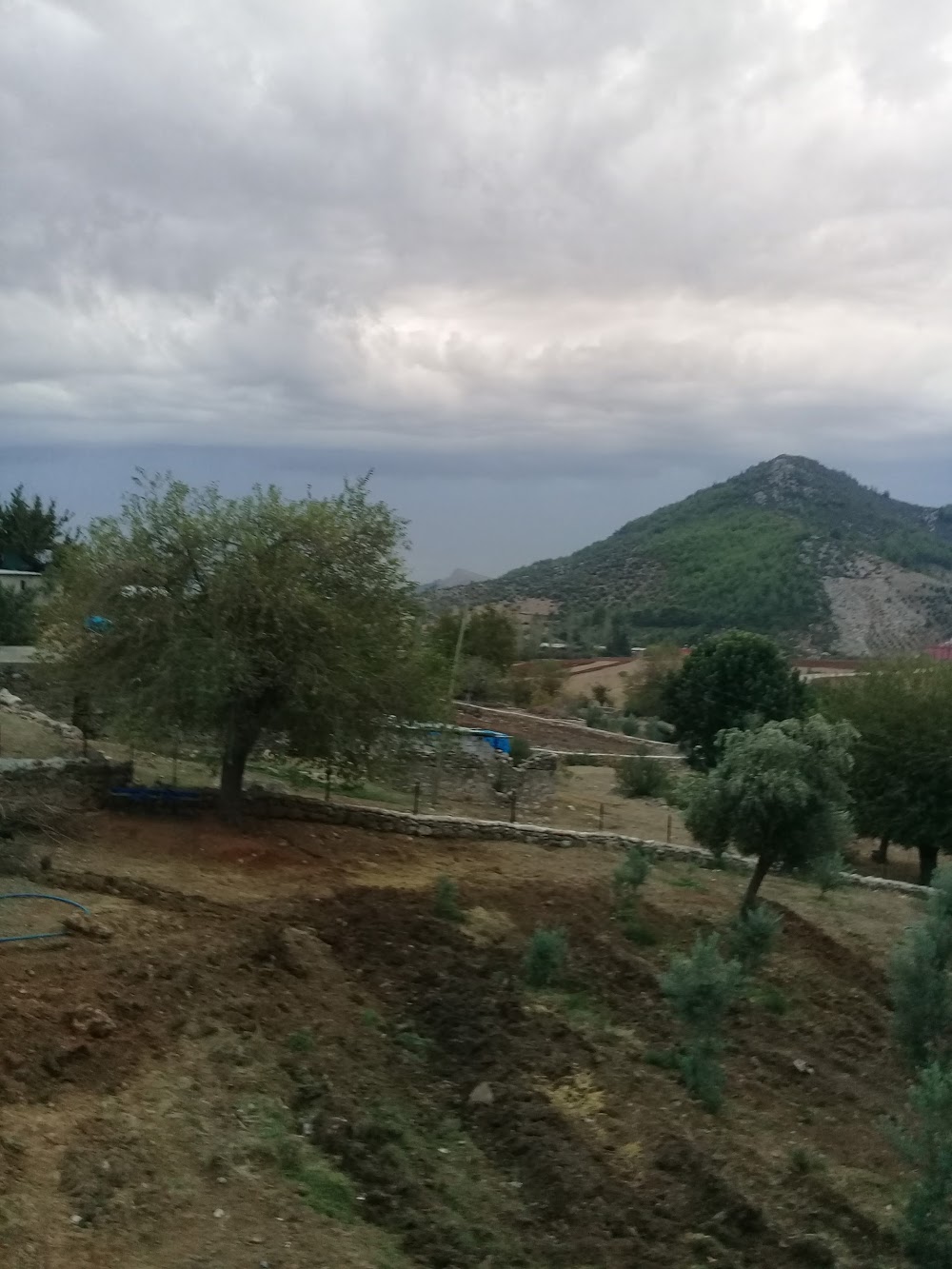 Kozan Turgutlu İlkokulu Fotoğrafları 5