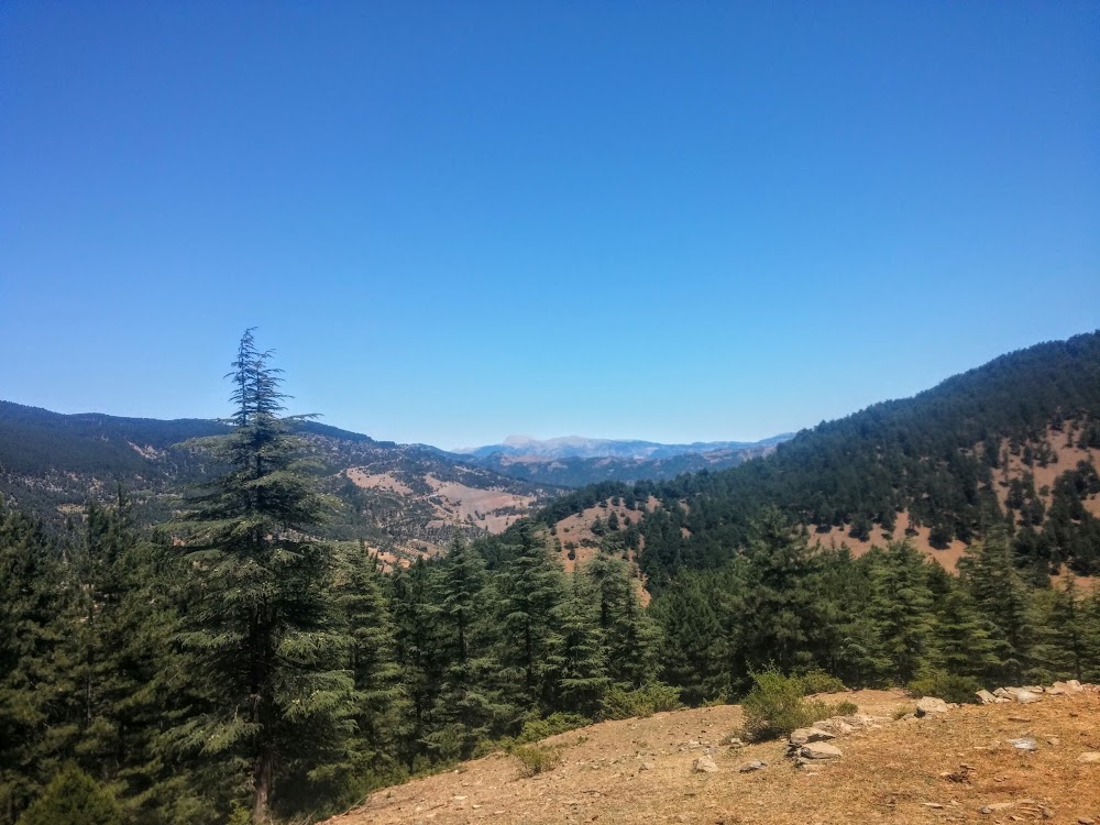 Gürümze İlkokulu Fotoğrafları 3