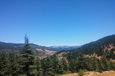 Gürümze İlkokulu fotoğraf 3