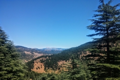 Gürümze İlkokulu fotoğraf 4
