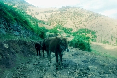 Gürümze İlkokulu fotoğraf 1