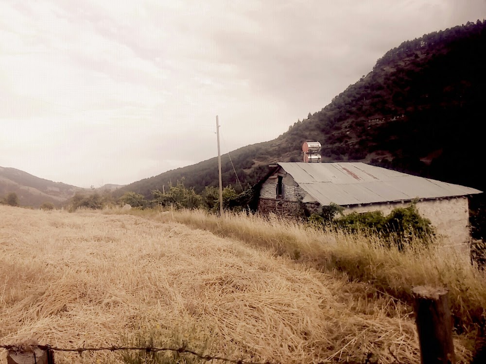 Gaffaruşağı İlkokulu Fotoğrafları 3