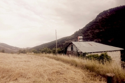Gaffaruşağı İlkokulu fotoğraf 3