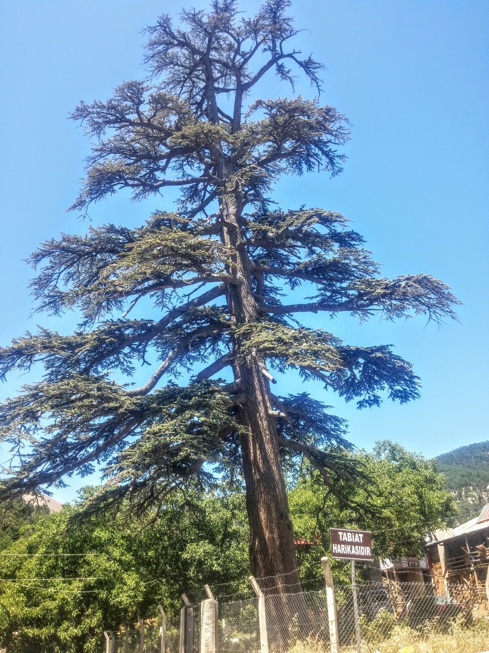 Gaffaruşağı İlkokulu Fotoğrafları 2