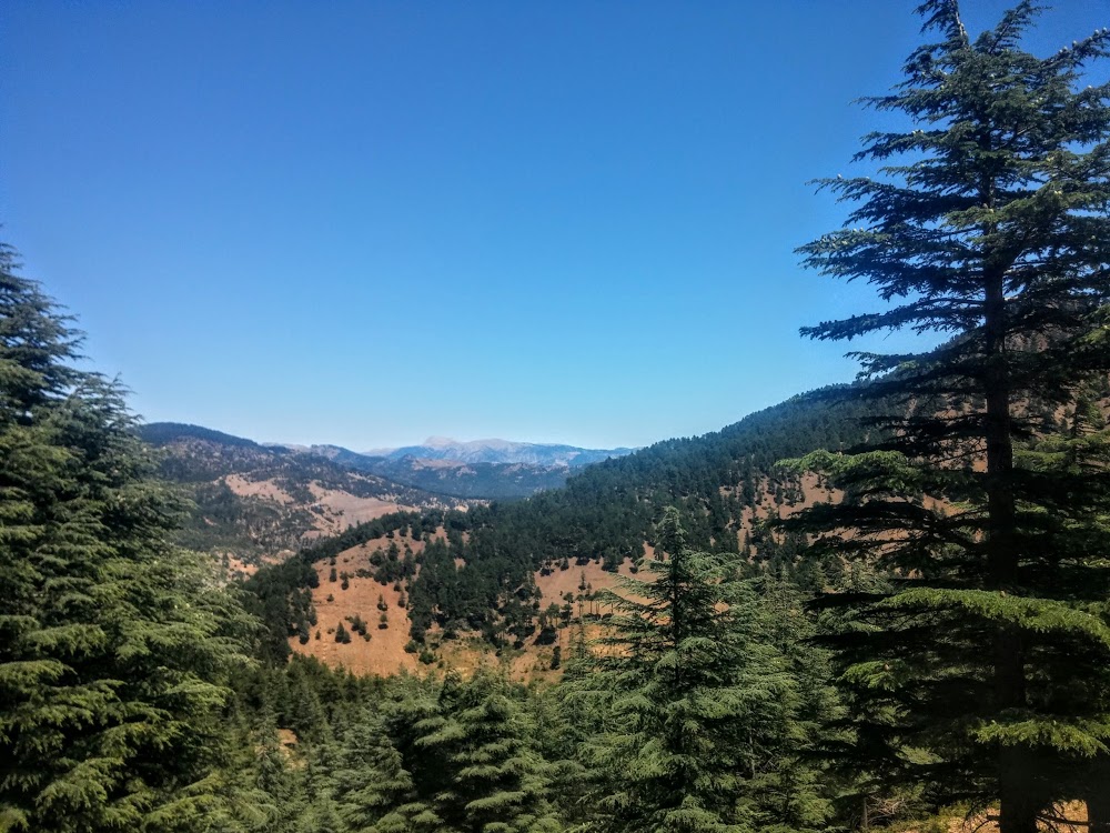 Gaffaruşağı İlkokulu Fotoğrafları 5