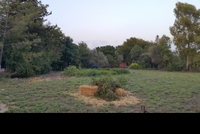 İmamoğlu Ayvalı İlkokulu fotoğraf 1