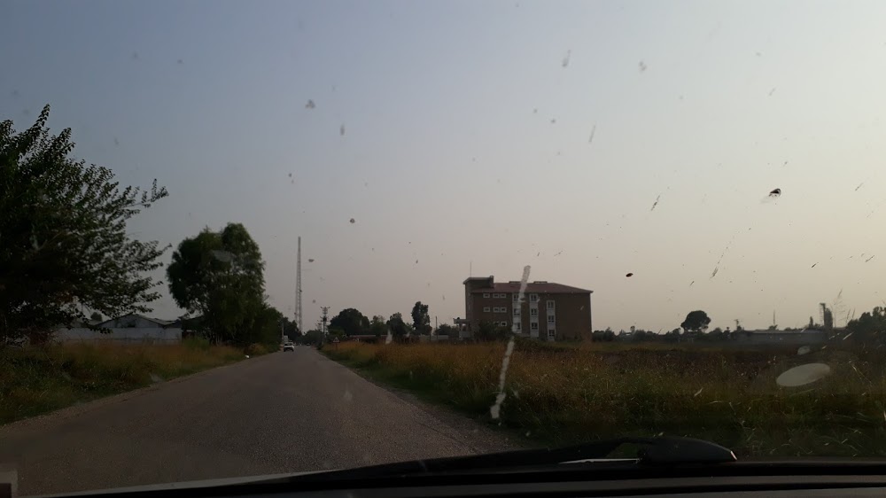 Faydalı İlkokulu Fotoğrafları 1