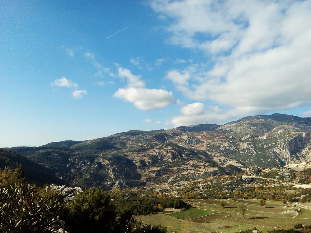 Etekli Erkeğin Şehit Fatih Yılmaz Ortaokulu Fotoğrafları 1