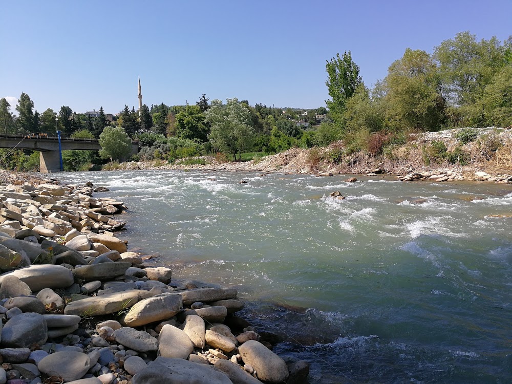 Hacılı Şehit Ali Gümüştop İlkokulu Fotoğrafları 2