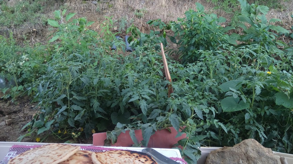 Henüzçakırı Andırap İlkokulu Fotoğrafları 1