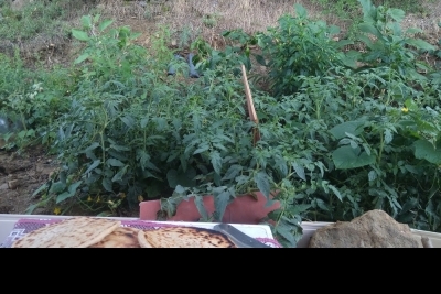 Henüzçakırı Andırap İlkokulu fotoğraf 1