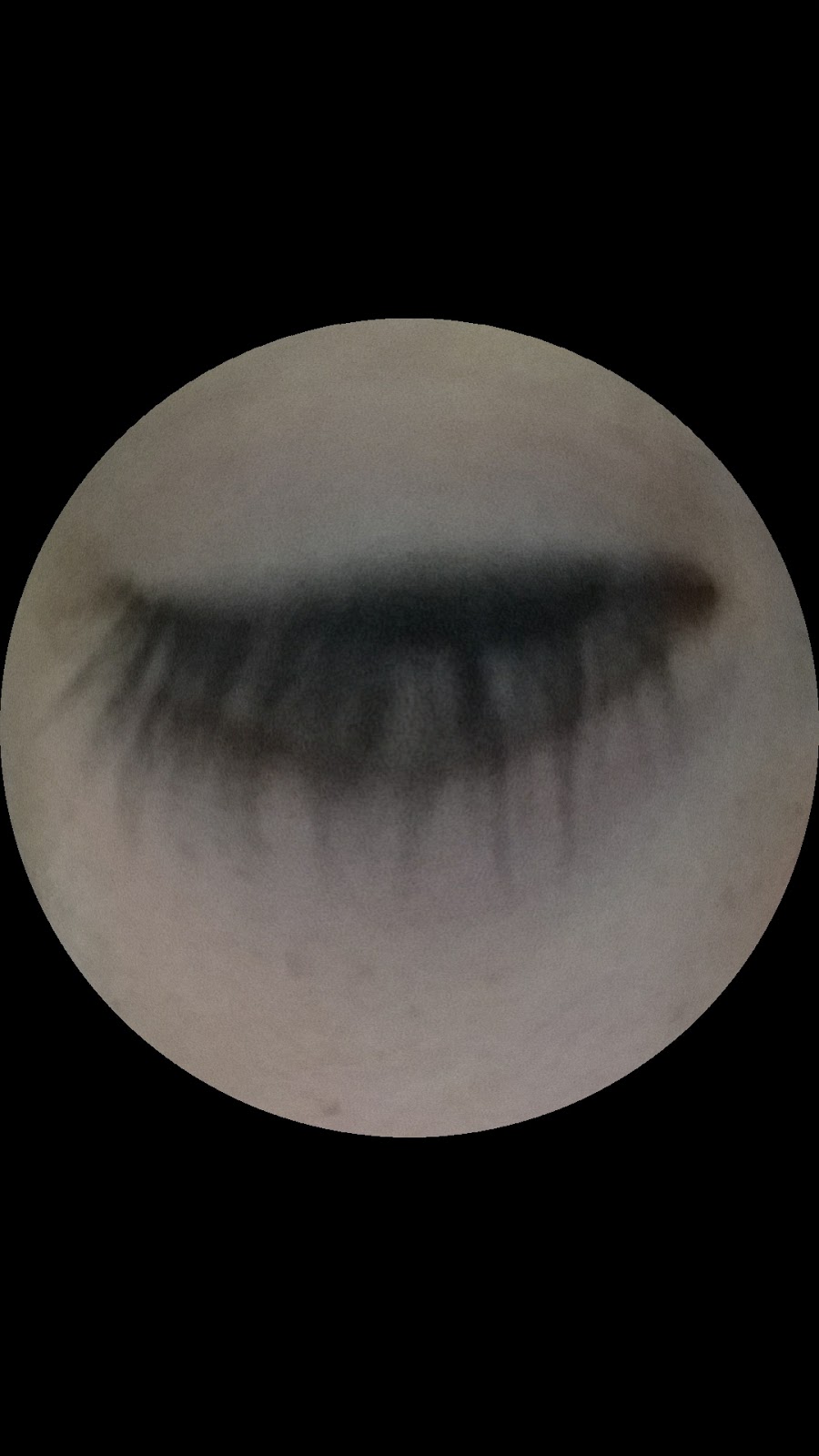 Sarıçam Bilge Kağan Ortaokulu Fotoğrafları 4