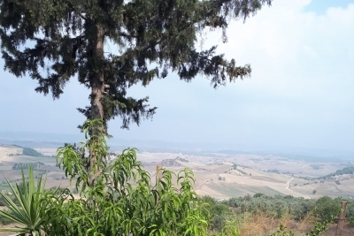 Kızılkaş Şehit Metehan Şahbaz İlkokulu fotoğraf 1