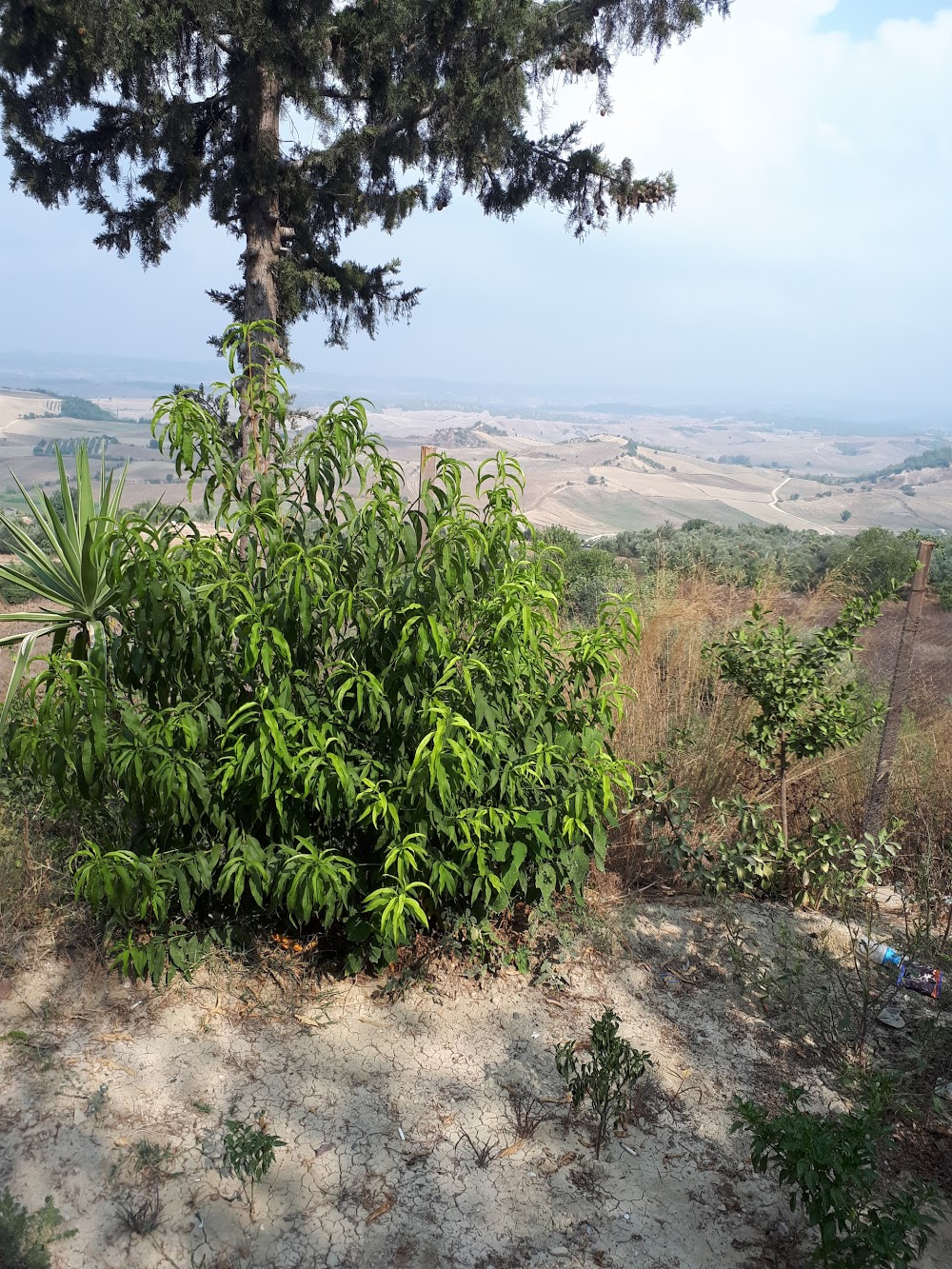 Kızılkaş Şehit Metehan Şahbaz Ortaokulu Fotoğrafları 1