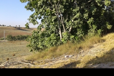 Turunçlu İlkokulu fotoğraf 12