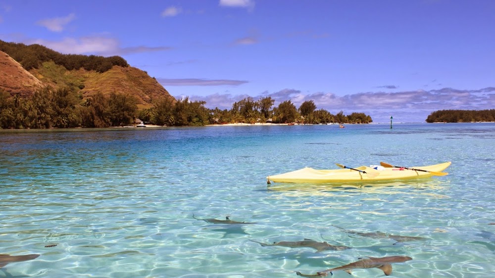 Seyhan 29 Ekim İlkokulu Fotoğrafları 1