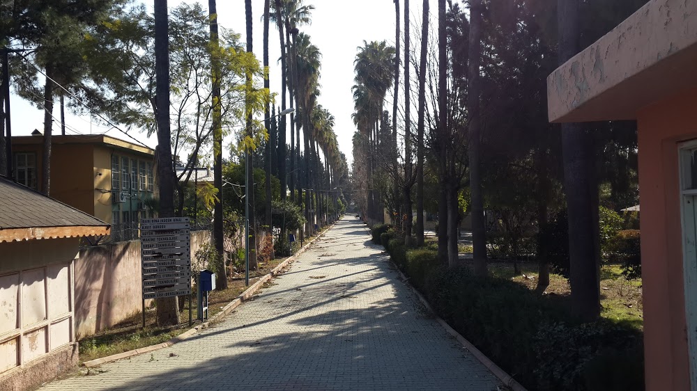 Adana Mesleki Ve Teknik Anadolu Lisesi Fotoğrafları 2