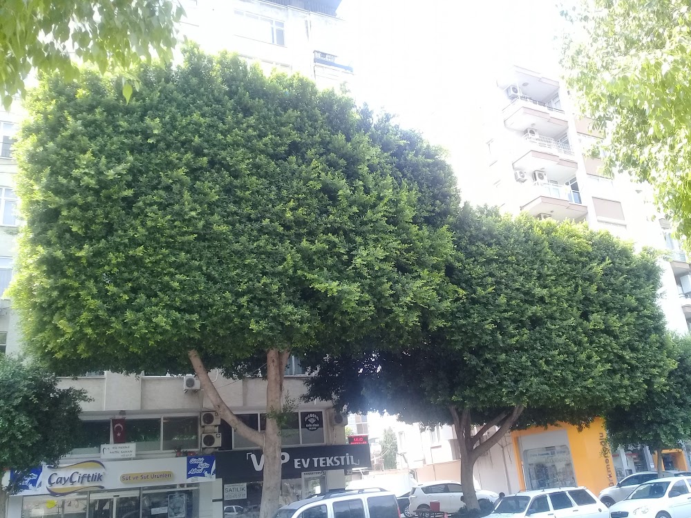 Doruk Mesleki Ve Teknik Anadolu Lisesi Fotoğrafları 5