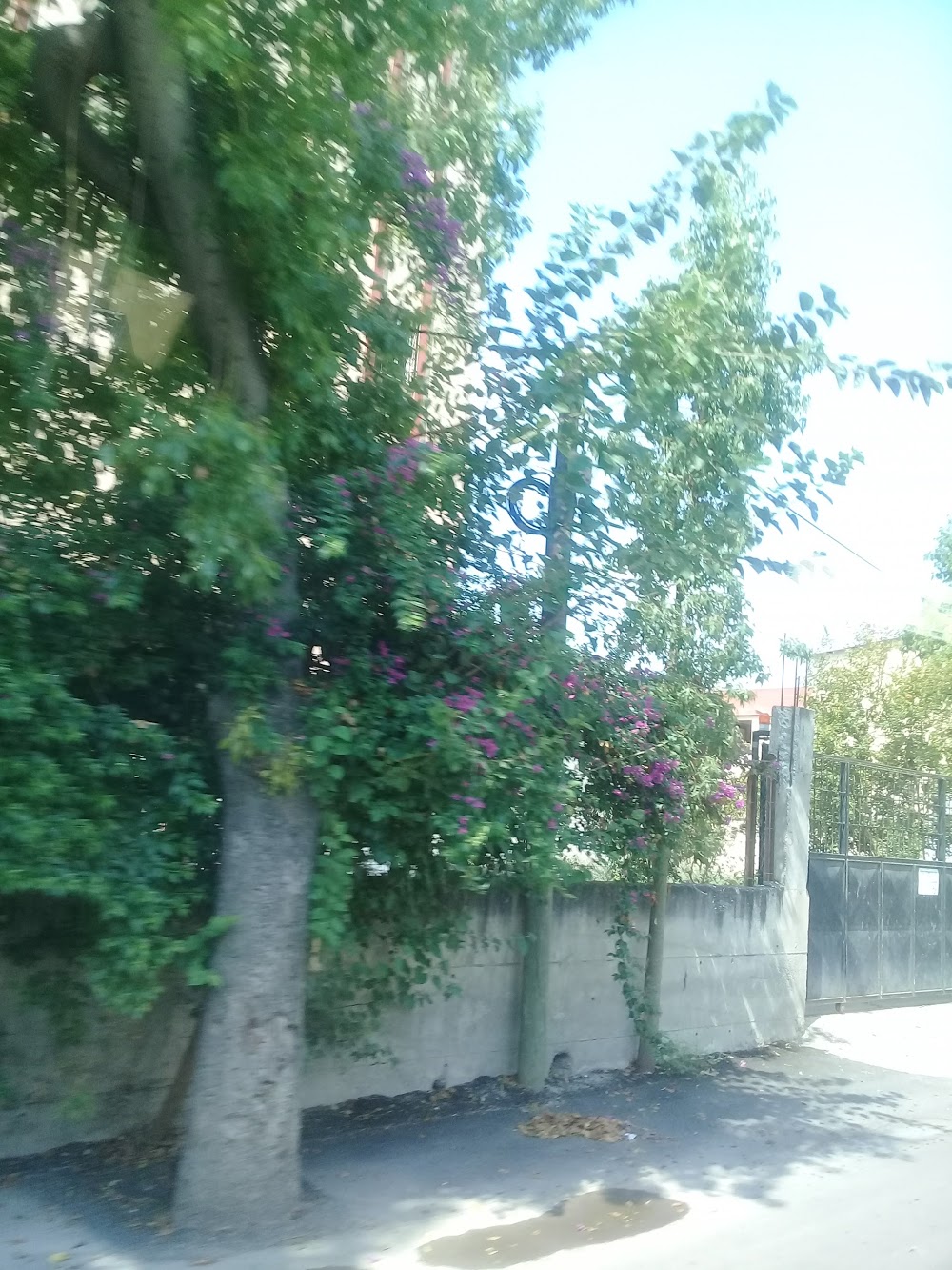 Fatih Terim Anadolu Lisesi Fotoğrafları 4