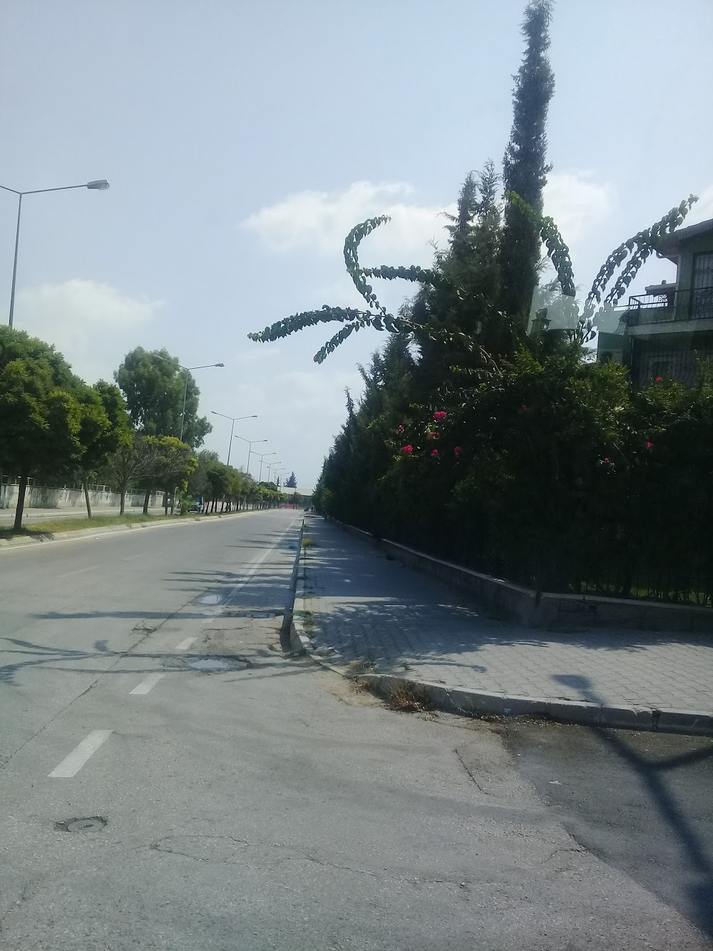 Fatih Terim Anadolu Lisesi Fotoğrafları 6