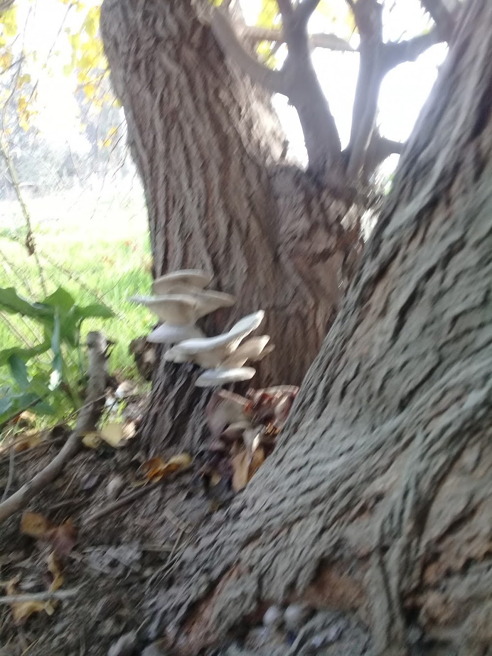 Kayışlı İlkokulu Fotoğrafları 3