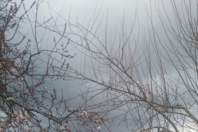 Kuyumcular İlkokulu fotoğraf 1