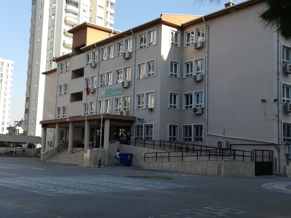 Öğretmen Ayfer Doğruol İlkokulu Fotoğrafları 2