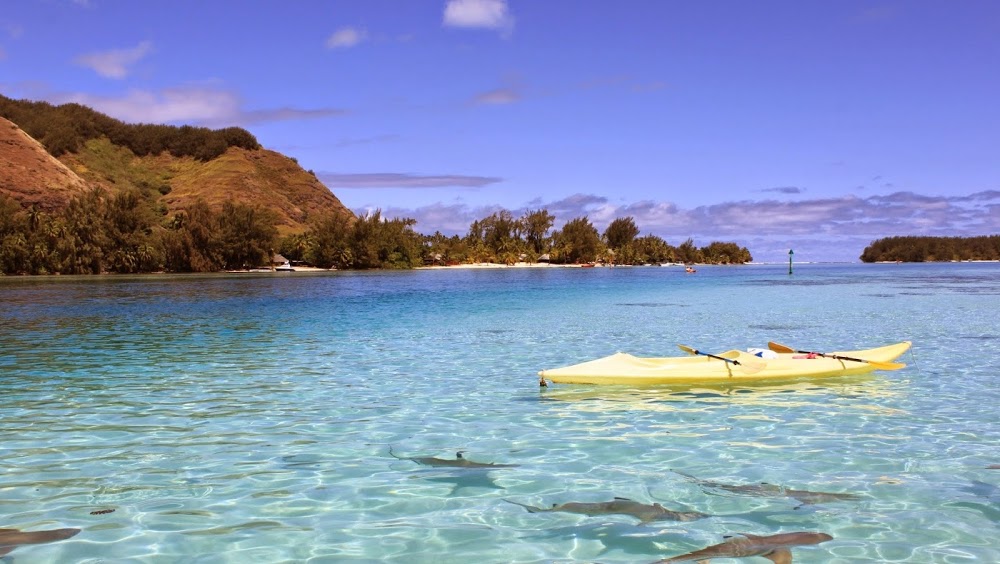 Şehit Ahmet-mehmet Oruç Spor Lisesi Fotoğrafları 4