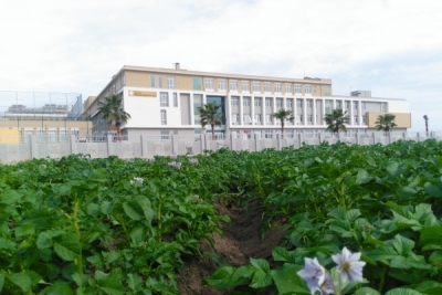 Şehitlik Anadolu İmam Hatip Lisesi fotoğraf 1
