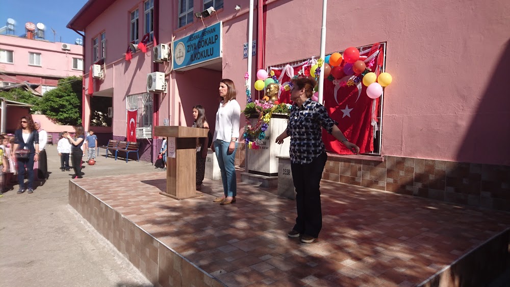 Seyhan Ziya Gökalp İlkokulu Fotoğrafları 2