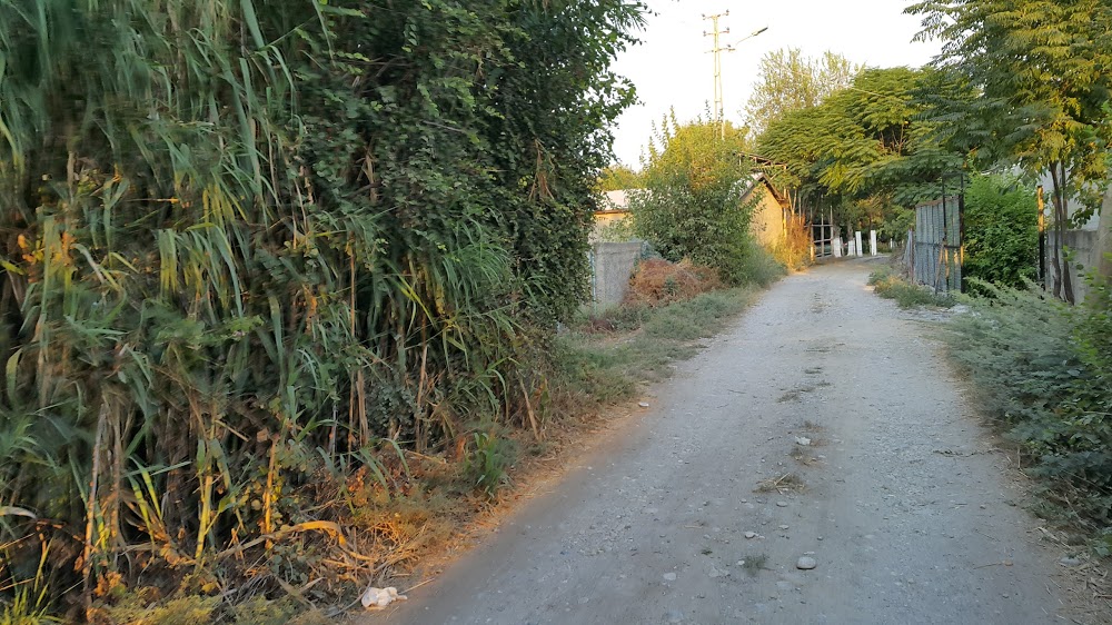 Ayvalık İlkokulu Fotoğrafları 3