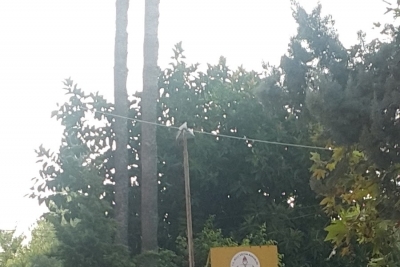 Dadaloğlu Anadolu Lisesi fotoğraf 1