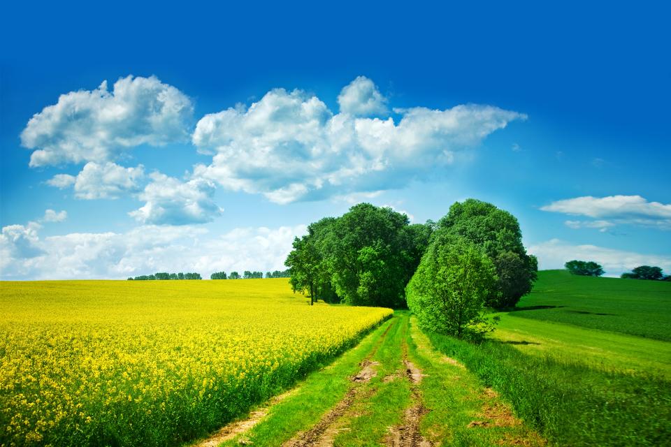 Emine Özgüler Gürsu İmam Hatip Ortaokulu Fotoğrafları 1