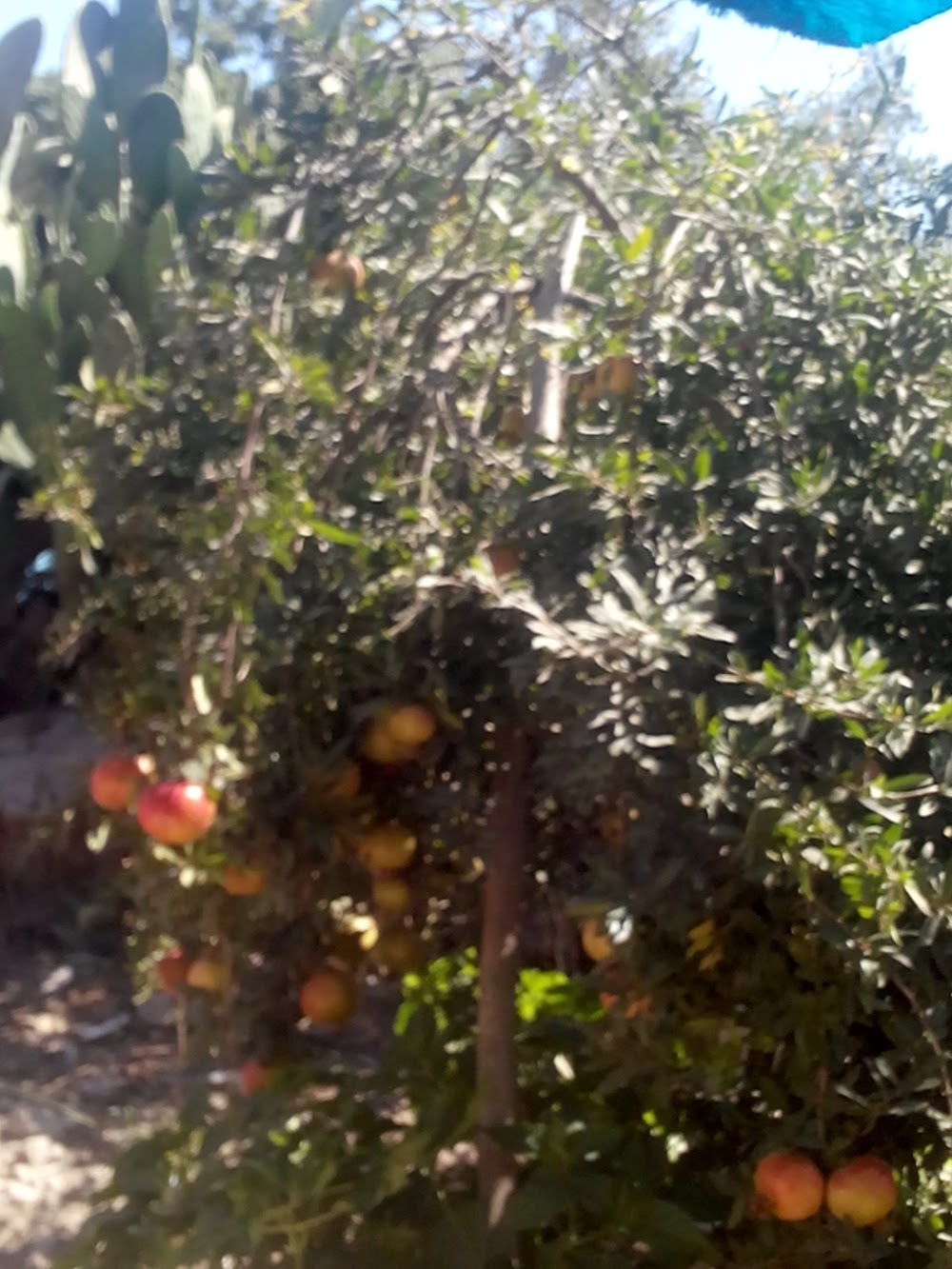 Yakapınar Peyami Safa Ortaokulu Fotoğrafları 3