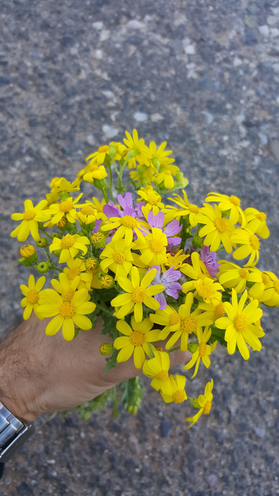 Kömür Anadolu Lisesi Fotoğrafları 6