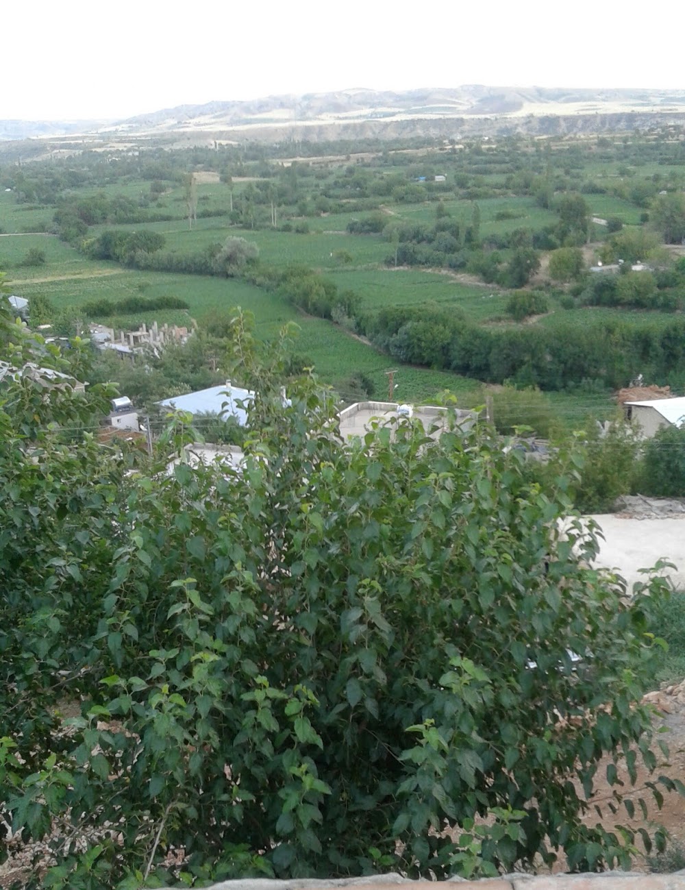 Kömür Anadolu Lisesi Fotoğrafları 5