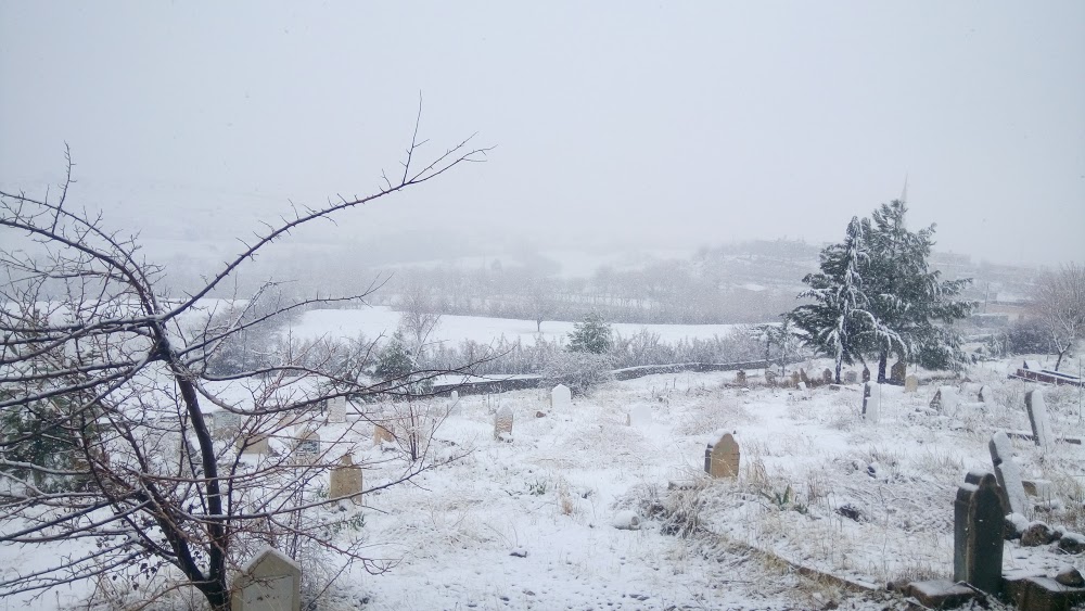 Doyran Ortaokulu Fotoğrafları 3