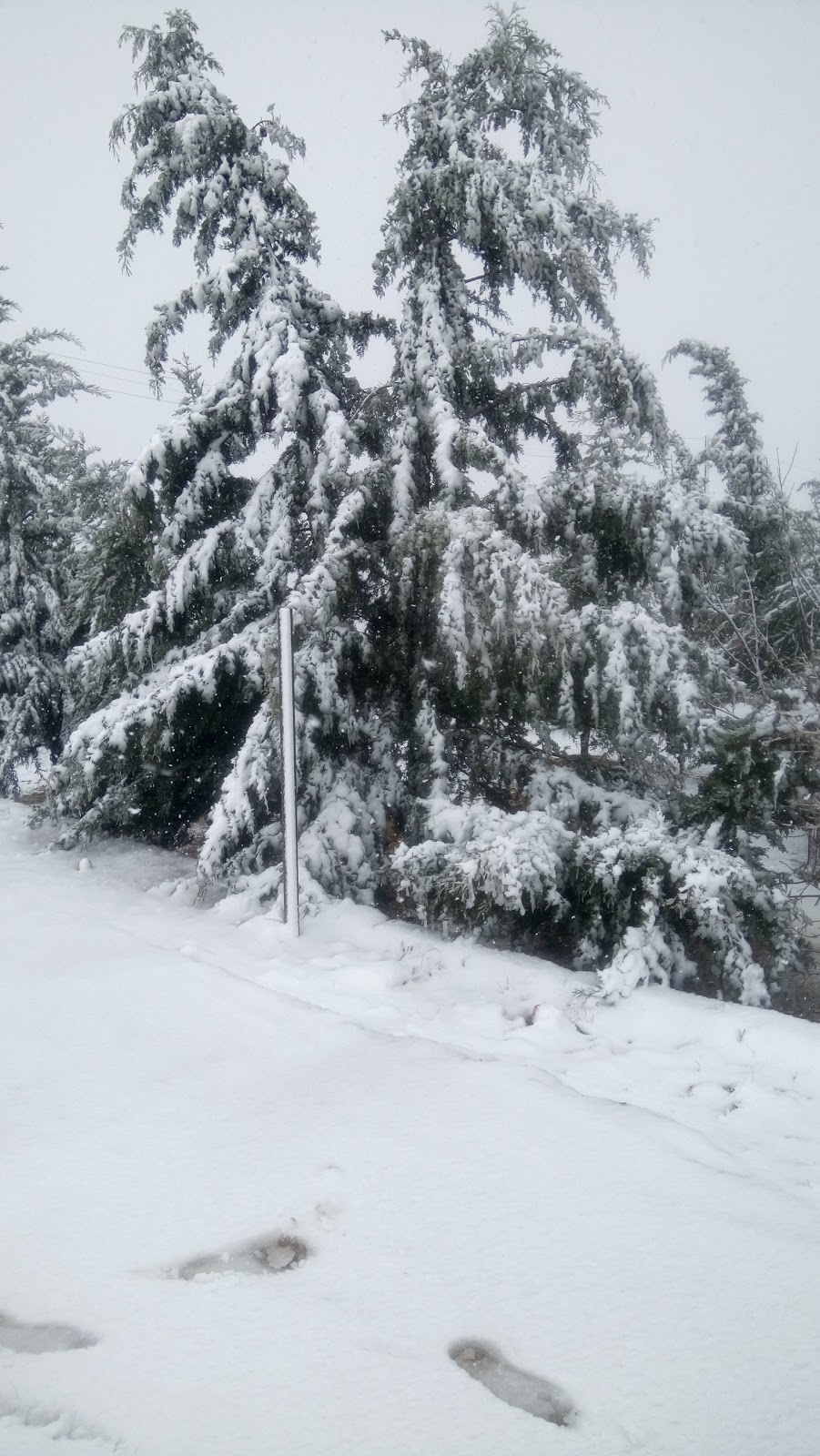 Doyran İlkokulu Fotoğrafları 5