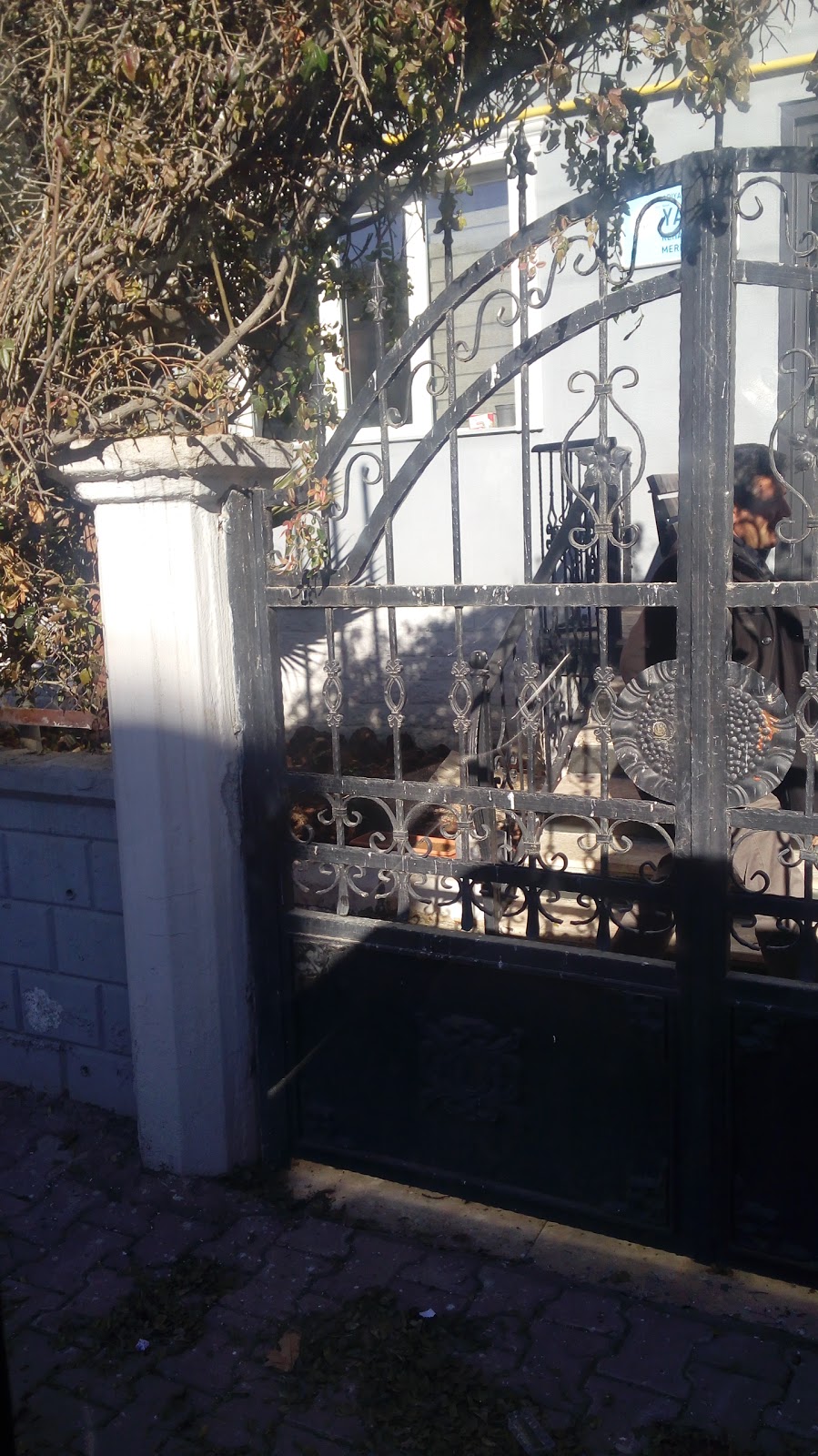 Adıyaman Fevzi Çakmak Ortaokulu Fotoğrafları 1