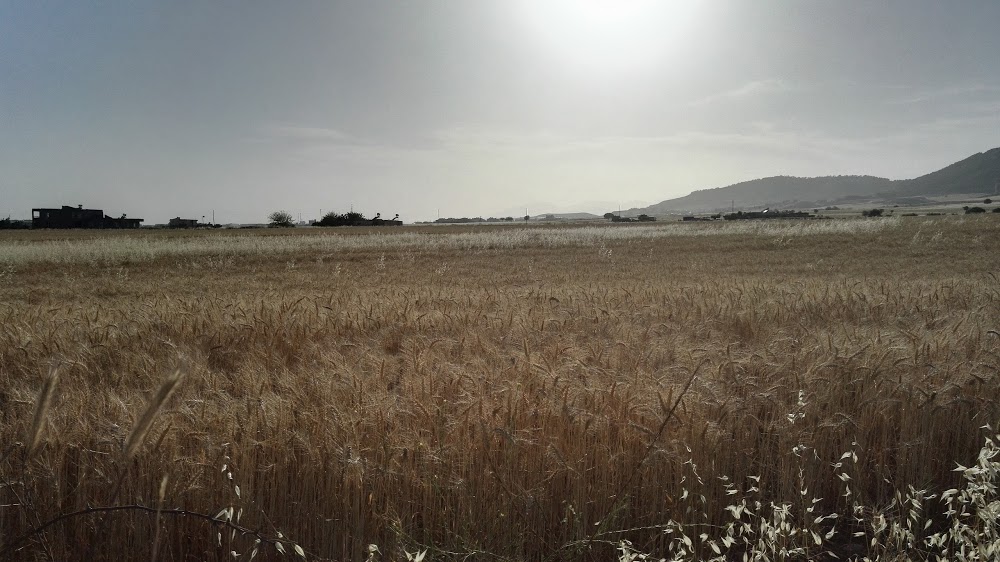 Gölbaşı Gazi İlkokulu Fotoğrafları 4